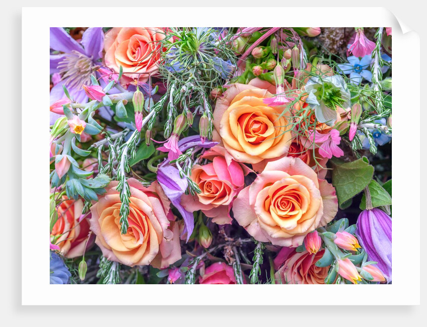 Roses and mixed flowers by Assaf Frank